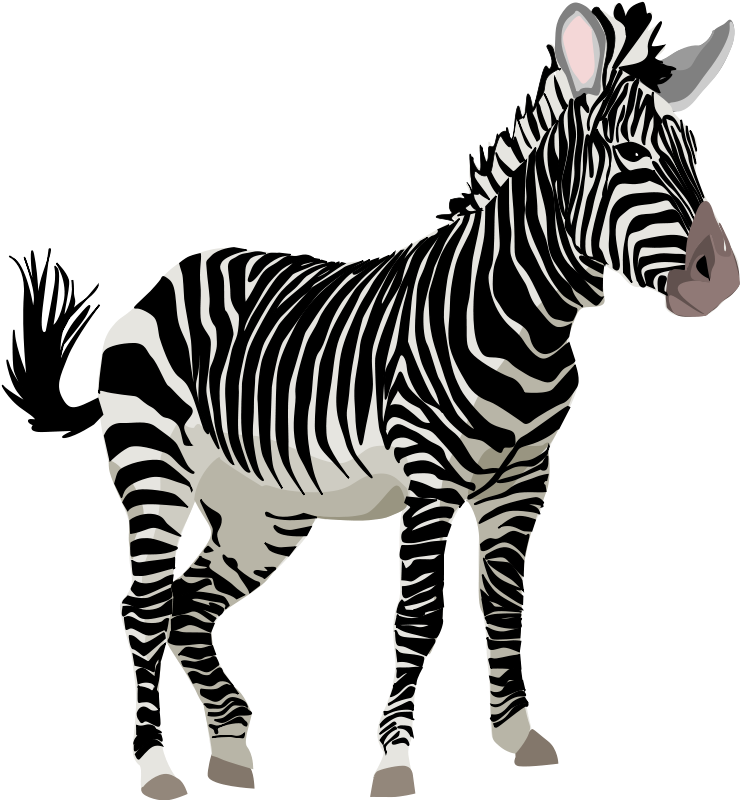 Zebra Clipart.