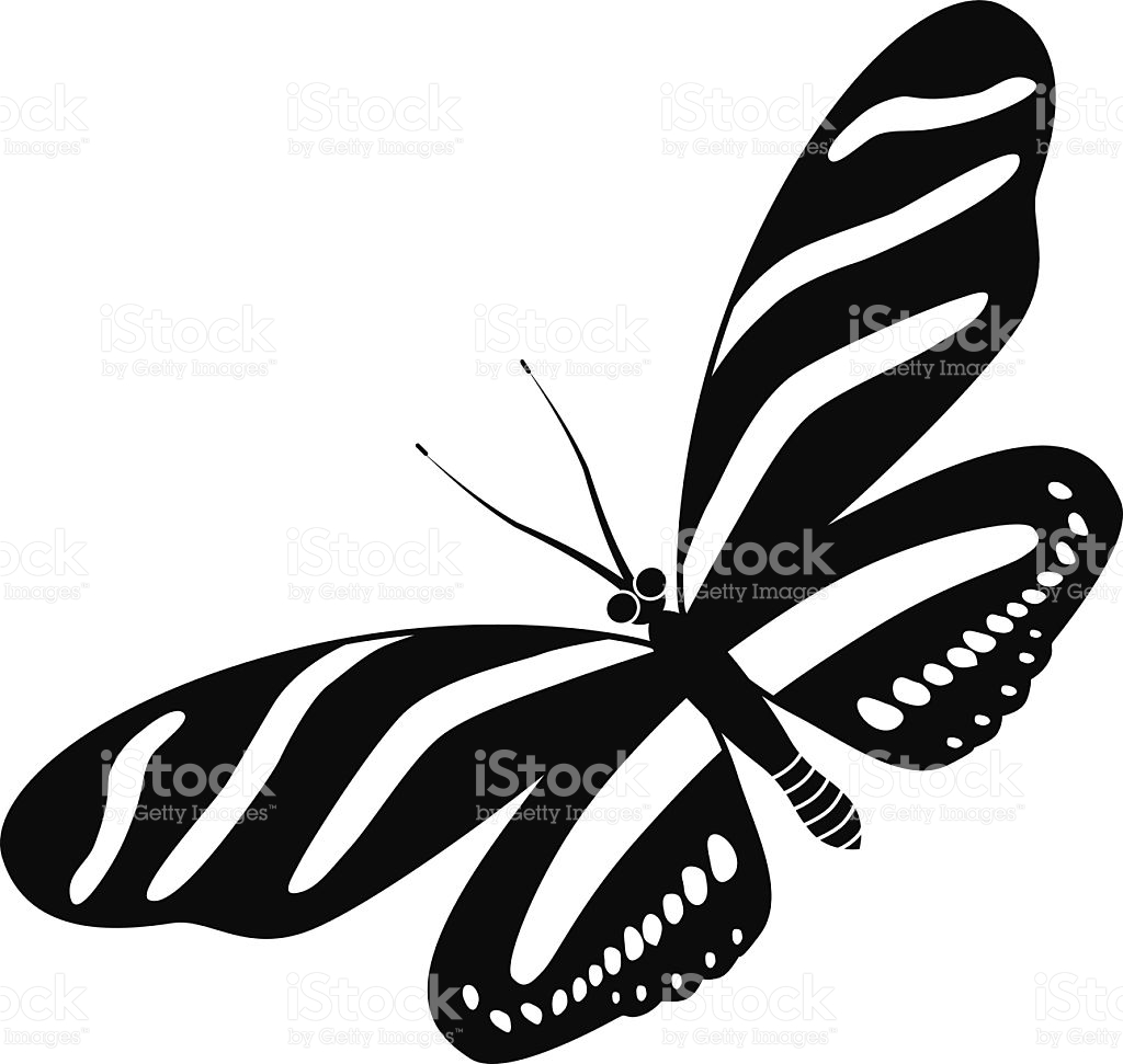 Free zebra longwing butterfly images clipart.