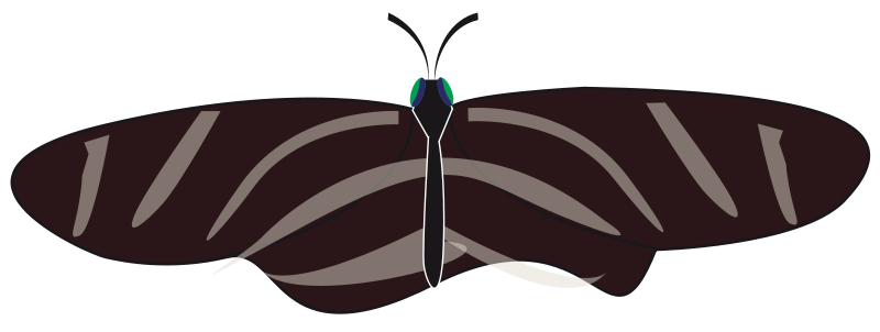 Free Zebra Longwing Butterfly Images Clipart.