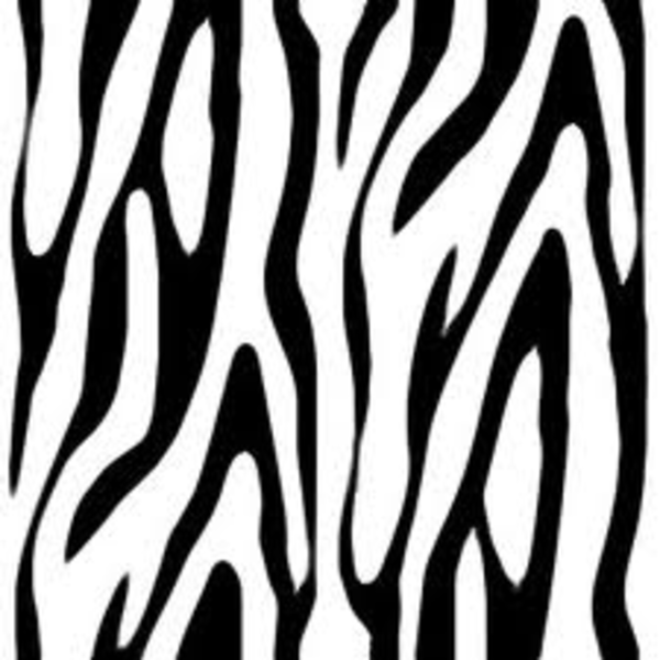 Zebra Print Clip Art 10 Free Cliparts Download Images On Clipground 2024 7056