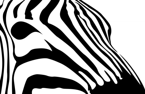 Zebra Profile.