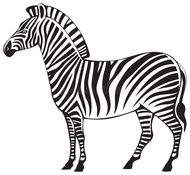 Zebra Silhouette Stock Illustrations.