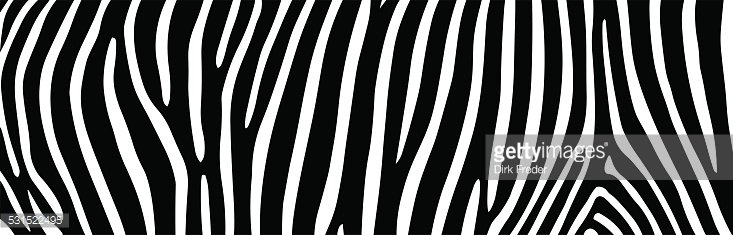 zebra stripes Clipart Image.
