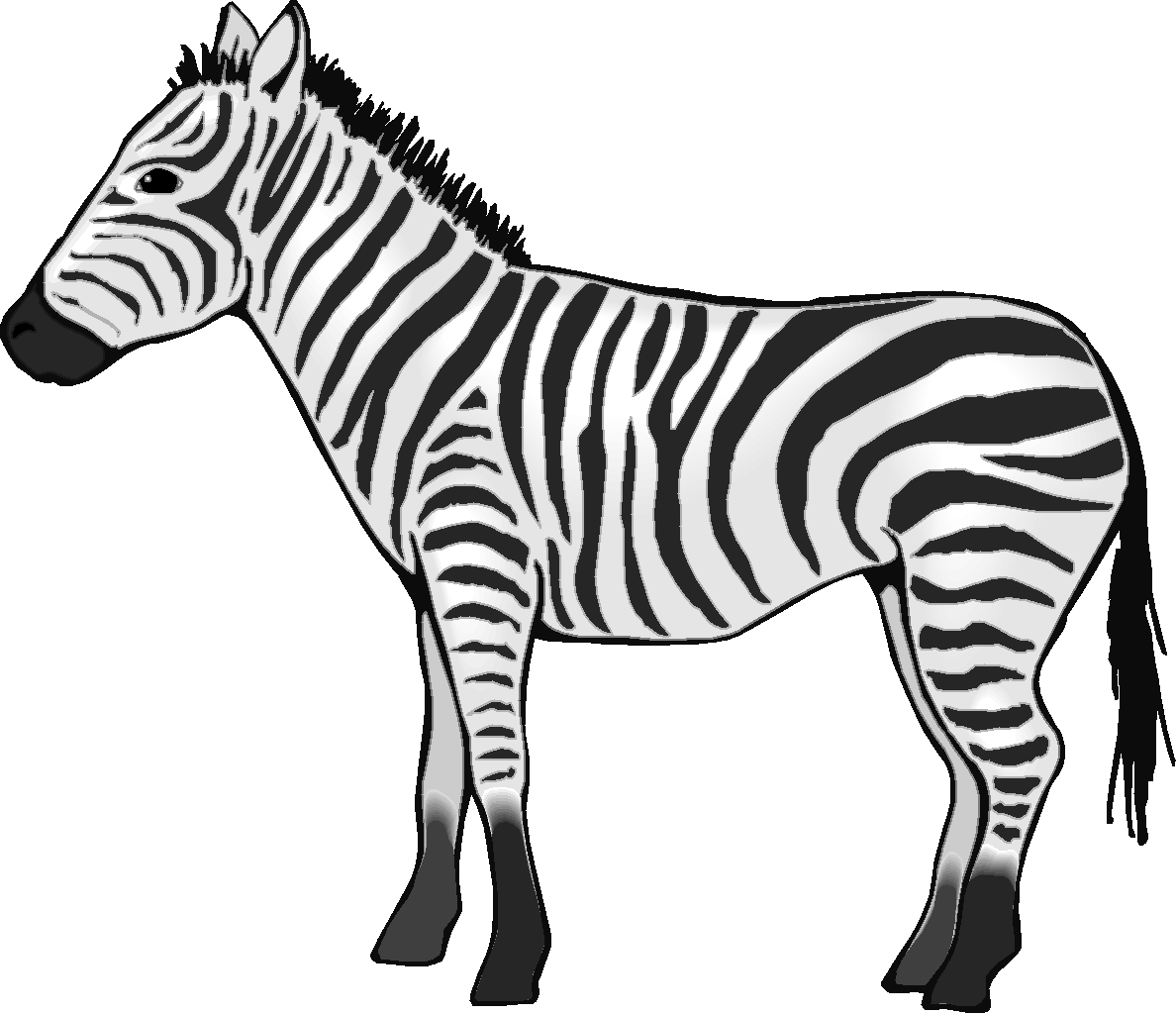 zebra clipart banner
