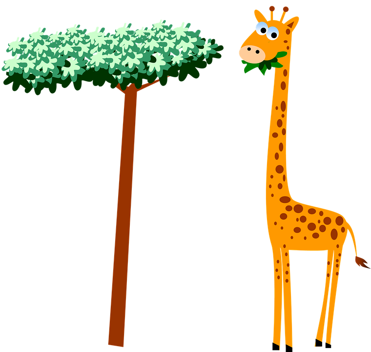 Free photo Wildlife Giraffe Cartoon Safari Neck Animal.