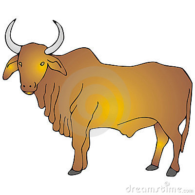 Zebu Clipart.