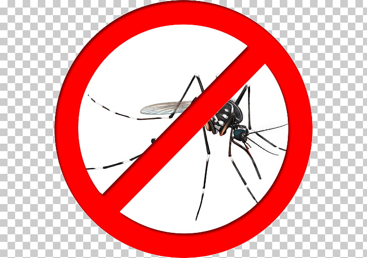 Yellow fever mosquito Insect Mosquito control Fly Zika virus.
